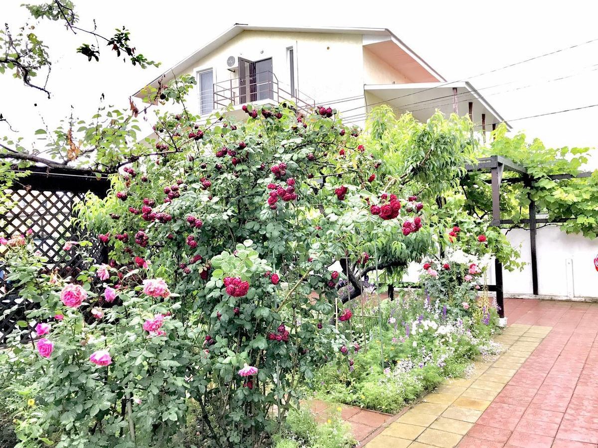 Akvitaniya Mini-Hotel 扎托卡 外观 照片